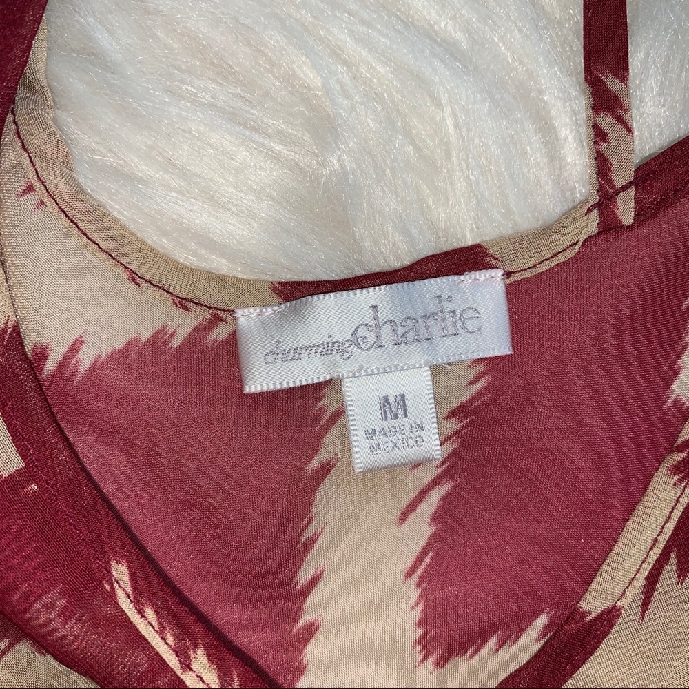 Charming Charlie Sheer Chevron Tunic - Picture 6 of 7